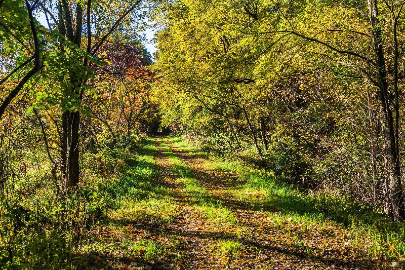 download-13 (1) download-13 (1)