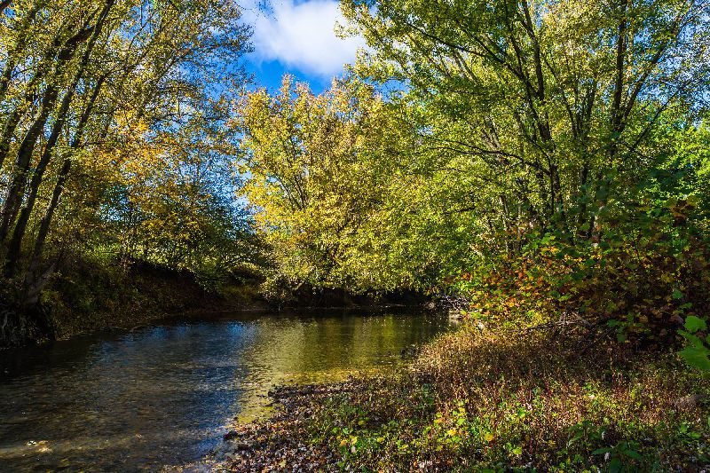 download-21 download-21