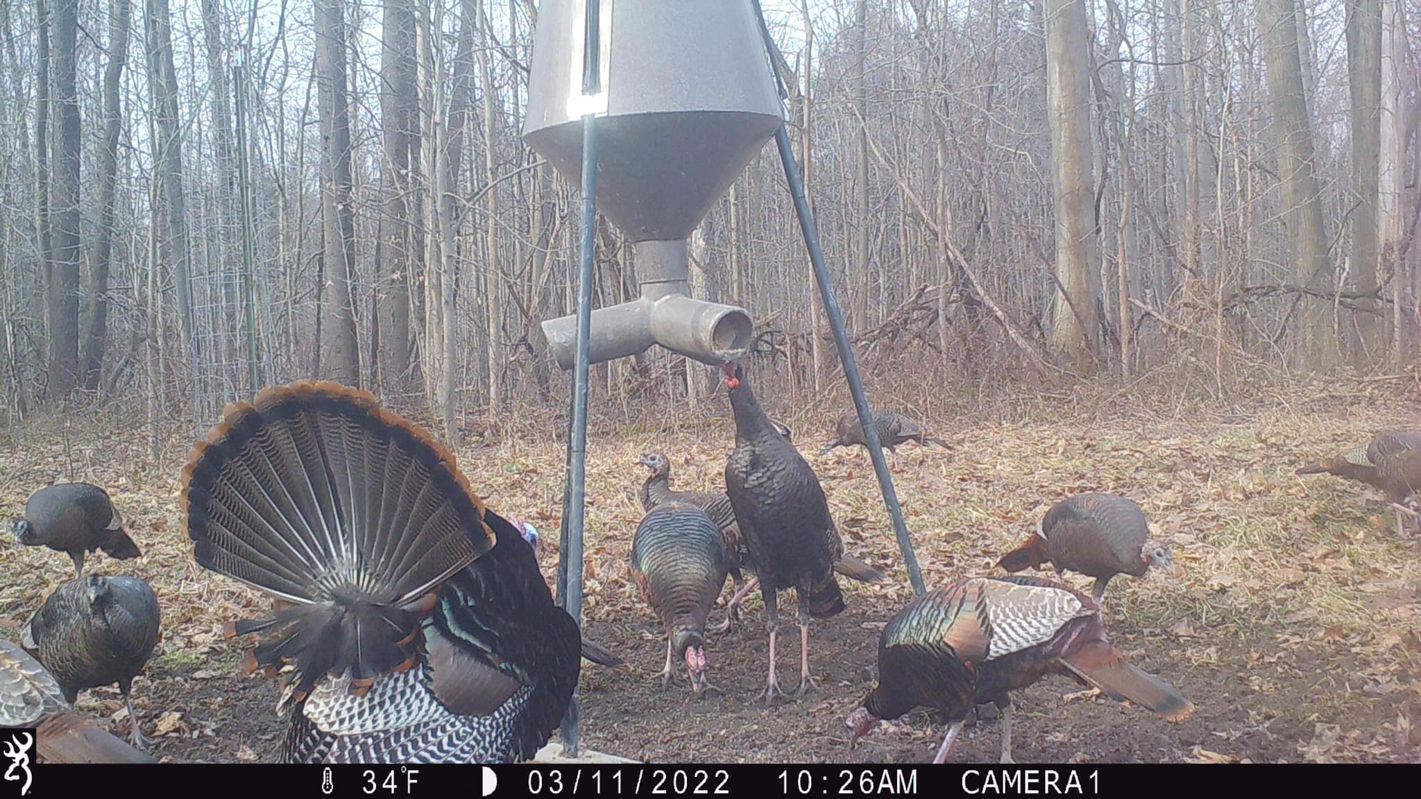 278900005_4049692028489294_2992486436125692603_n 278900005_4049692028489294_2992486436125692603_n