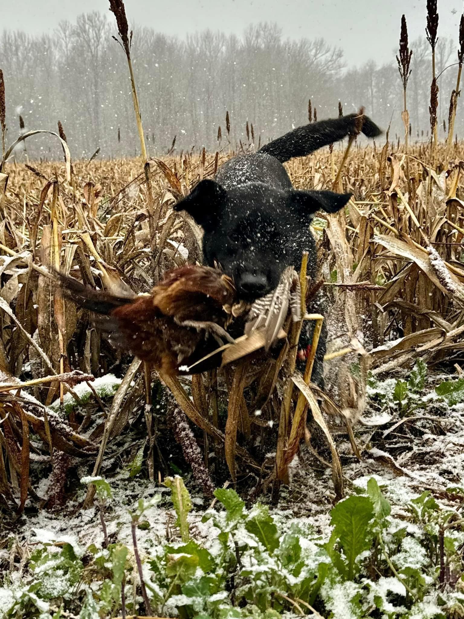 430661312_1151465919561784_3313795512345765229_n 430661312_1151465919561784_3313795512345765229_n