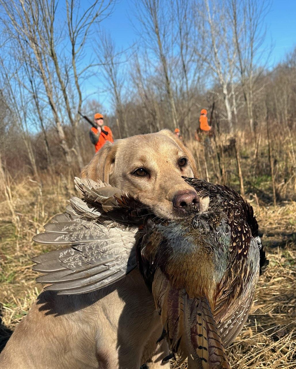 IMG_9170.jpg IMG_9170.jpg