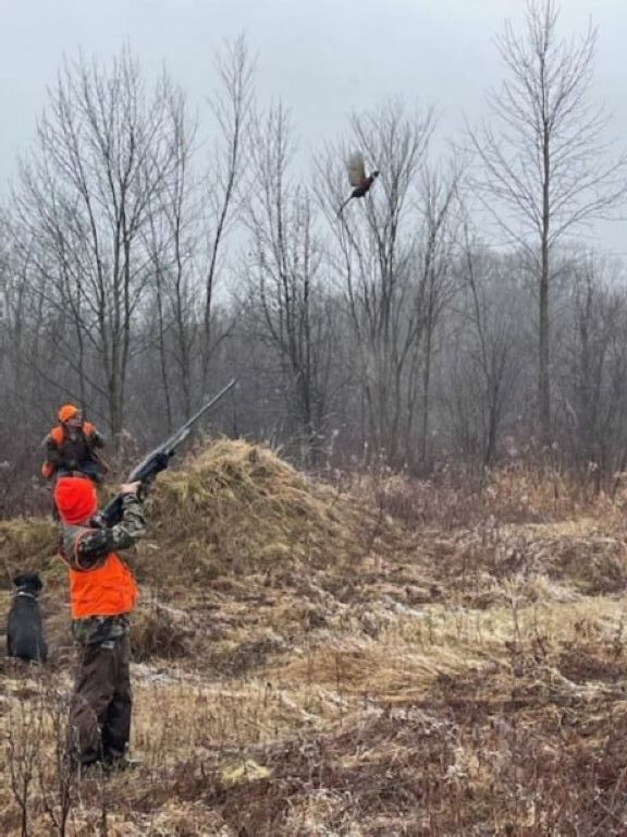 Owen 1-1-24 Owen 1-1-24