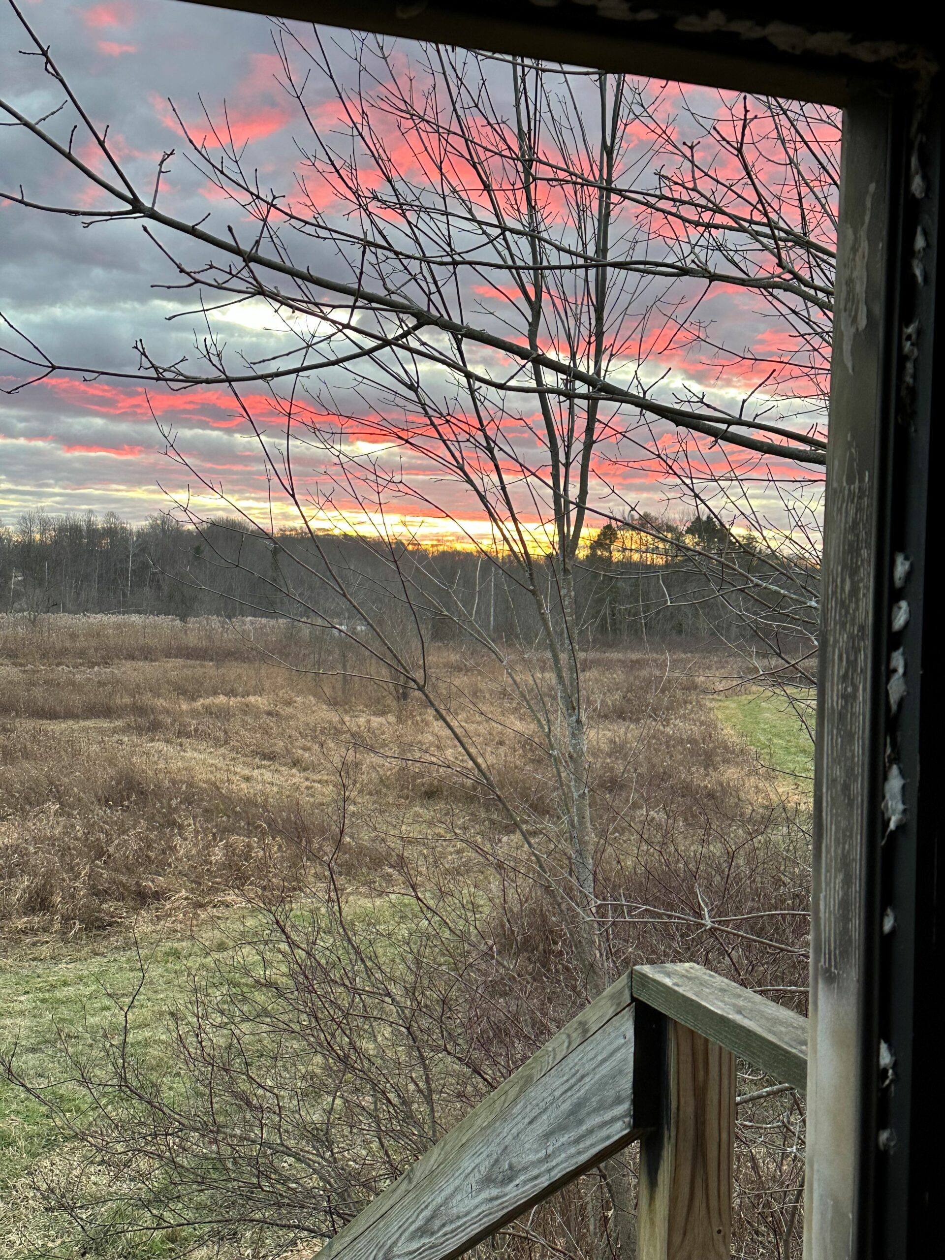 Swamp Shack 12-9-23 Swamp Shack 12-9-23