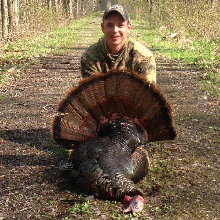 download-1 (2) download-1 (2)