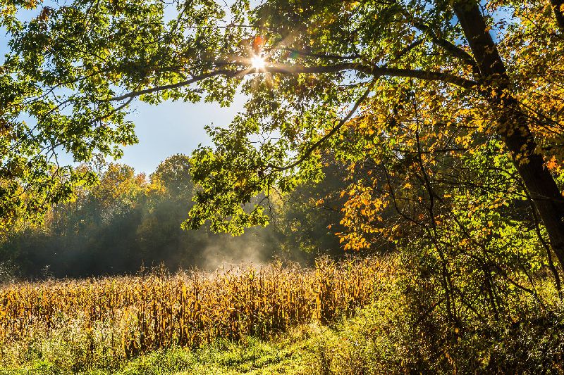 download-14 download-14