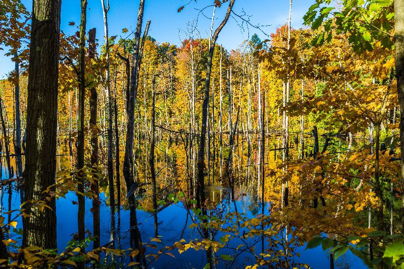 download-15 download-15