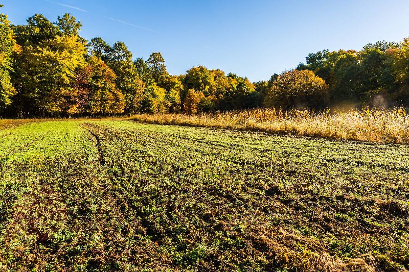 download-19 (1) download-19 (1)