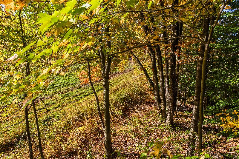 download-20 download-20