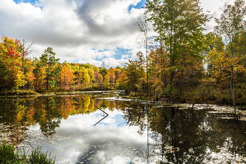 download-23 (1) download-23 (1)