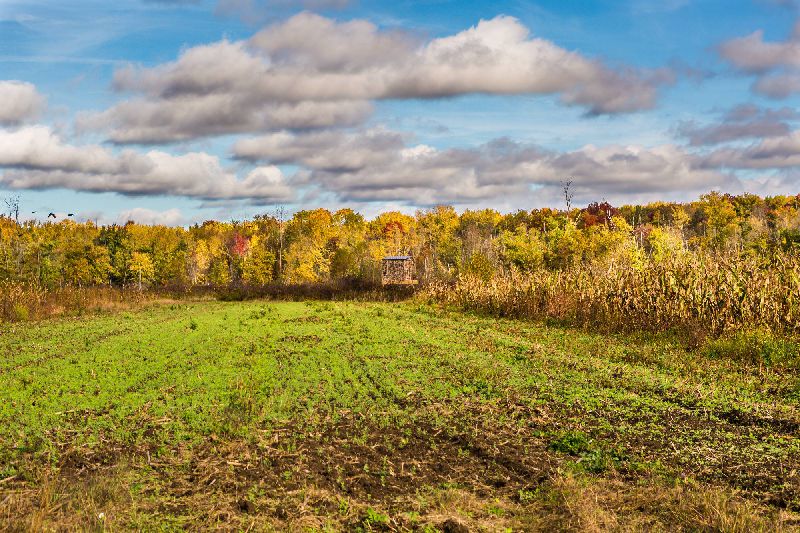 download-24 (1) download-24 (1)