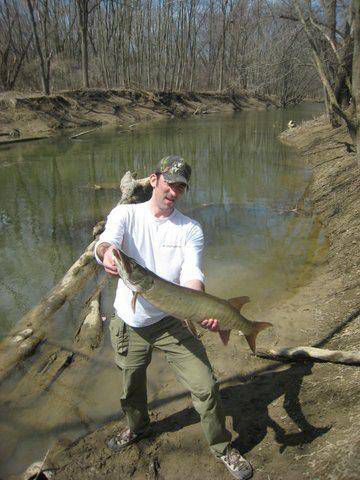 download-5 download-5